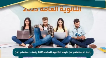رابط الاستعلام عن نتيجة الثانوية العامة 2025 جاهز.. استعلم الآن
